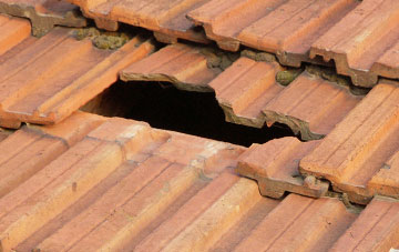 roof repair Craignant, Shropshire